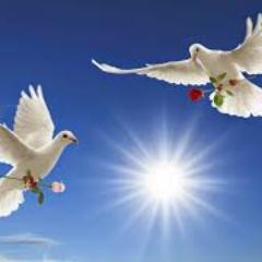 m91196775's profile picture. 