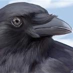 ravenscord1's profile picture. I was very young at the time of my birth. I was three months premature. I seem to have a very strong ass fetish and love to be facesat.  Have a seat.