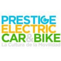 PrestigeElectricCar(@PElectricCar) 's Twitter Profile Photo