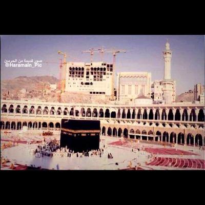 lloll9991's profile picture. 