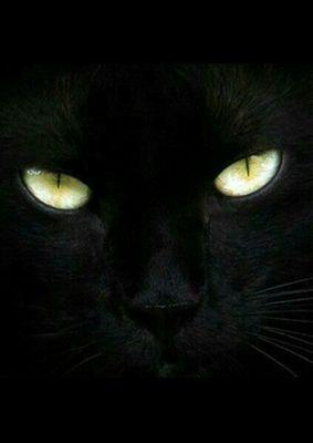 GZHCCCP's profile picture. 