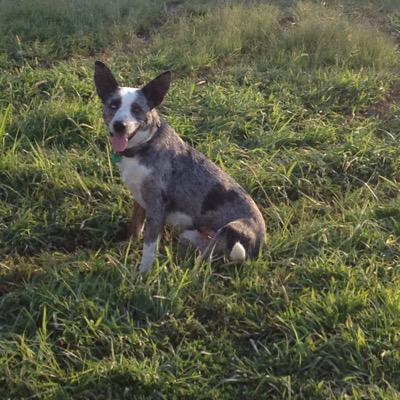 banahan_tug's profile picture. 