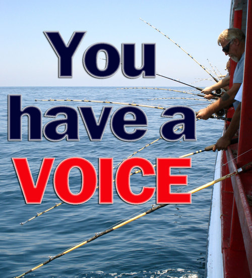 FishermansVoice's profile picture. By working together the recreational and commercial fisheries CAN survive. Overly restrictive regulations threaten our communities and our economy as a whole.