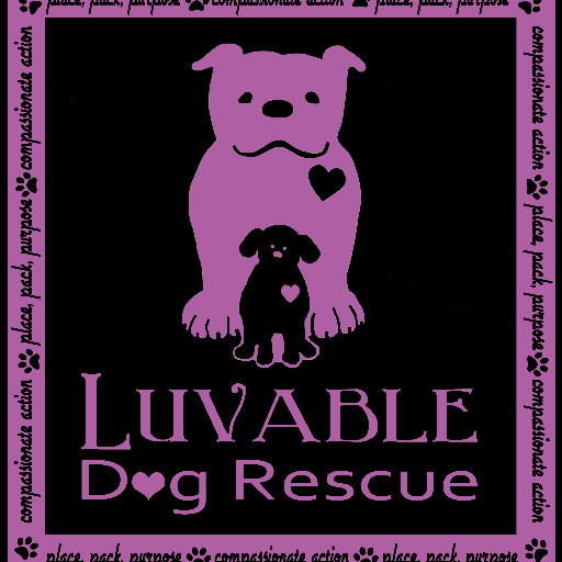 Luvable Dog Rescue is a nonprofit 501 (c)(3) dog rescue dedicated to rehoming small breed dogs & bully breeds who were once on death row.