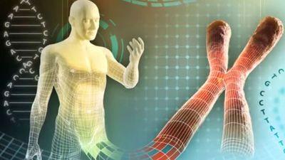 Empreendedor6's profile picture. 