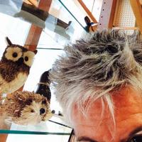 Sharon Petipas (@petipas) 's Twitter Profile Photo Sharon Petipas (@petipas) 's Twitter Profile Photo