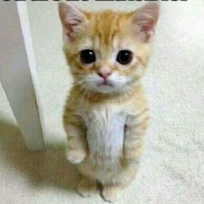 bobbington21's profile picture. 