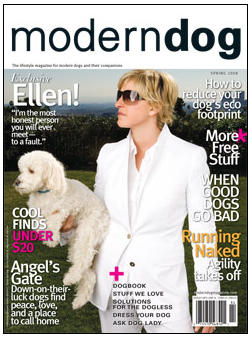 moderndog