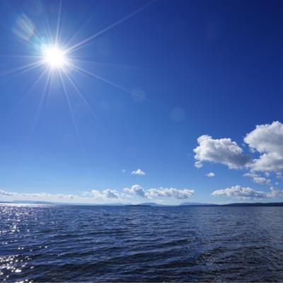 dahuadog's profile picture. 