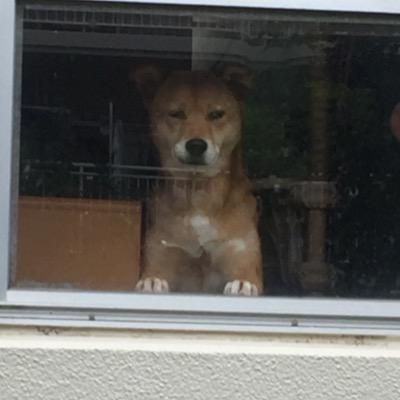 わにななみ