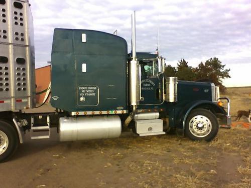 moovinbeef's profile picture. farming for the future and taking care of the land and animals which make it happen!