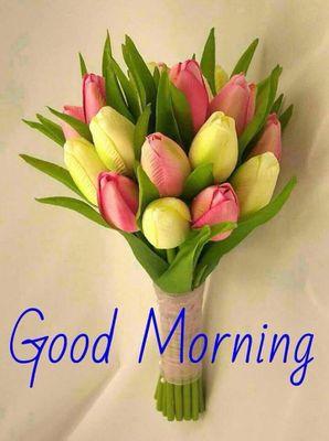 Sukhwin27822426's profile picture. 