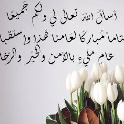 Mohamedkim8's profile picture. 