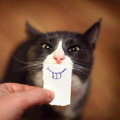 Wee_trout's profile picture. you'll find me now @troutypop xxx