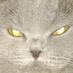 Musy Muuzaji (@musy_muuzaji) Twitter profile photo Musy Muuzaji (@musy_muuzaji) Twitter profile photo