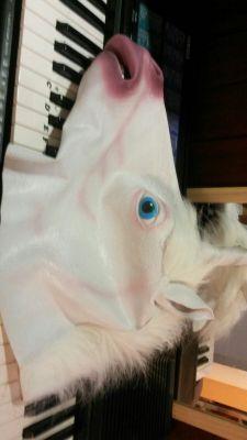 MAttersohn's profile picture. Gönd alli uf Over_Otaku