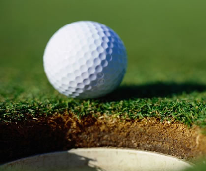 goftmaster's profile picture. 