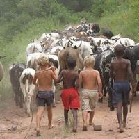 Tracy Sonny (@tracysonny) 's Twitter Profile