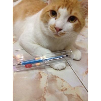 orluksamon's profile picture. อุปสรรคมีไว้ให้ฝ่าฟัน dream isn't far if we try to do.