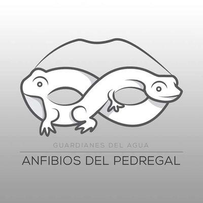 Somos un grupo de biólogos que promueve la conservación del Pedregal de la ciudad de México y los anfibios que ahí habitan.