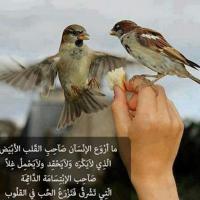 AHMED NSOR@ (@ahmednsor) Twitter profile photo