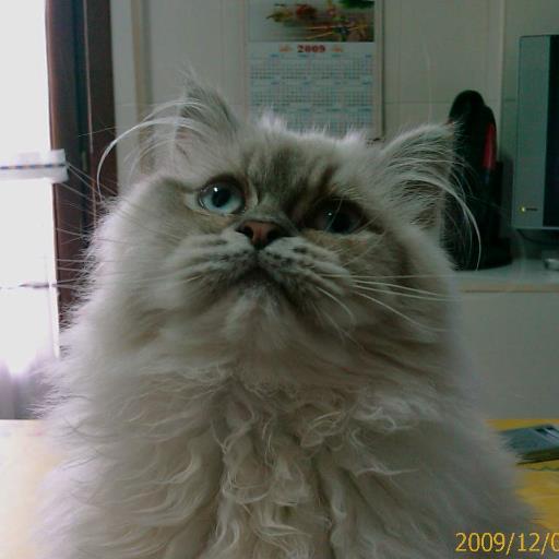 simoncele3's profile picture. Profesor de Mecatronica, departamento de Mecatronica, en el CIFP DON BOSCO LHII. Tengo como aficiones el ciclismo y el senderismo.