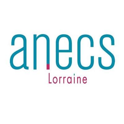 Association des Experts-Comptables & Commissaires aux Comptes Stagiaires - En Lorraine - Représenter - Informer - Aider à franchir les étapes du stage