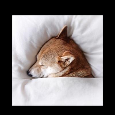 1888Katerina's profile picture. 