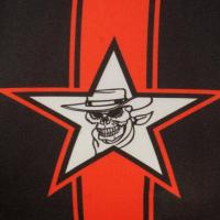 Team Macadam's Cowboys (@teammacadamscow) 's Twitter Profile