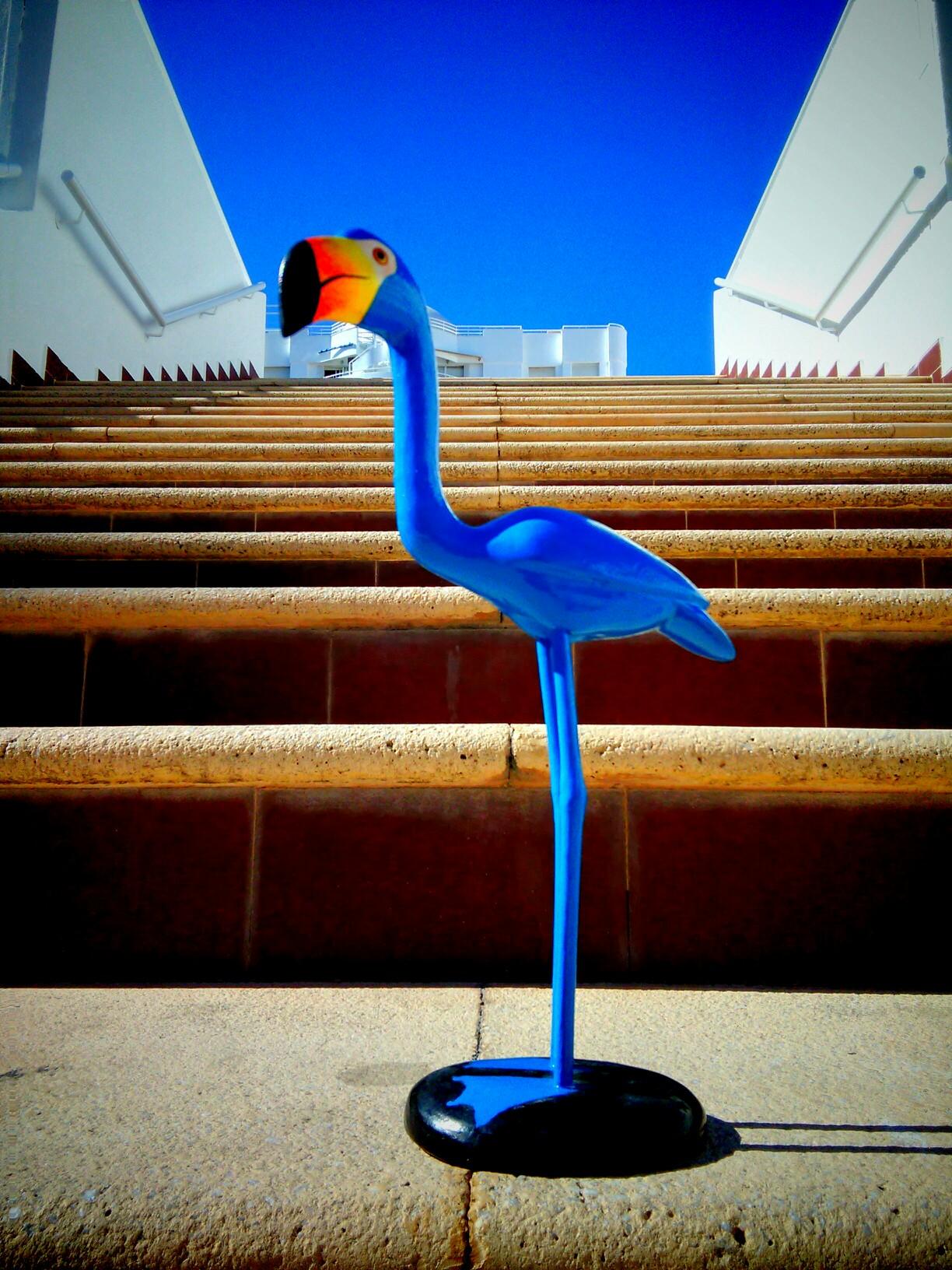 My name is Joe The Blue Flamingo and I landed in Alicante, Spain. I'm discovering the region. Follow my quest for local healthy foods and friends.