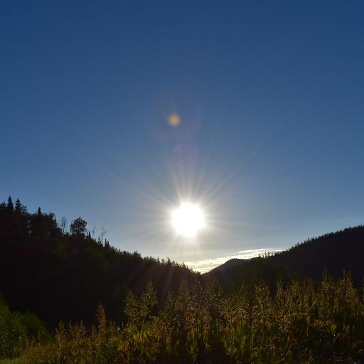 DomuleHowe's profile picture. 