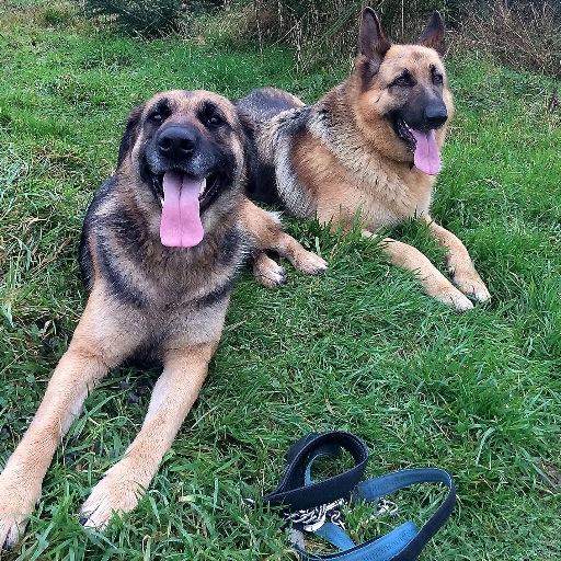 DonallFarmer's profile picture. A picture taker-er of sporty stuff.
Sometimes good uns, sometimes bad uns... But I'll keep taking them!