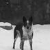Tucker (@outdoorsjunky) Twitter profile photo Tucker (@outdoorsjunky) Twitter profile photo