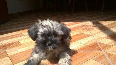 edjhvm's profile picture. 