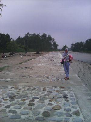 Tachiwa1's profile picture. 