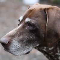 C.B. Clark (@cbclarkauthor) 's Twitter Profile