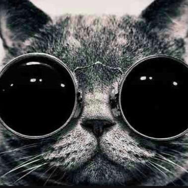 RobinJrJr's profile picture. 