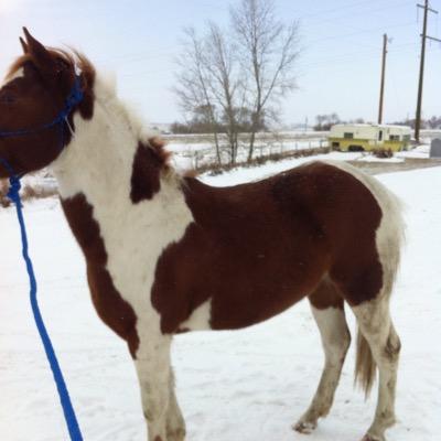 pidwer12's profile picture. 