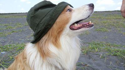 m6wkjmuto's profile picture. 元サイテク15
高分子工学科