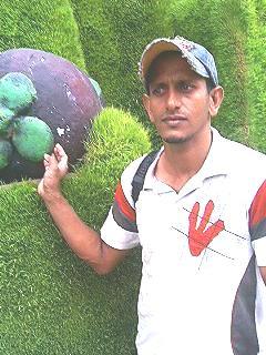 Picture