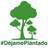 dejame_plantado's profile image