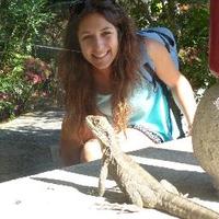 Isabel Damas Moreira (@lizabeldm) 's Twitter Profile