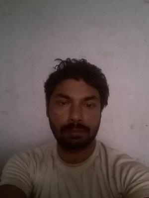 rajeshsingh7352's profile picture.