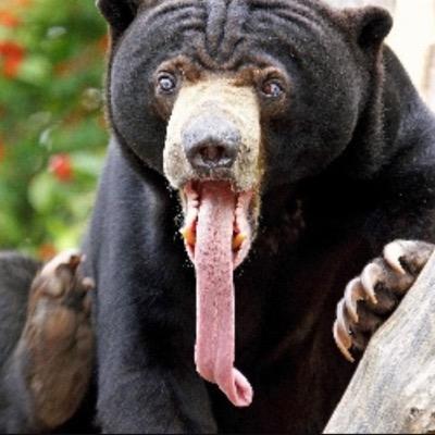 *we do not own content posted* Real Alaskans Follow
