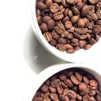 Espresso Lab (@esplabmicro) 's Twitter Profile