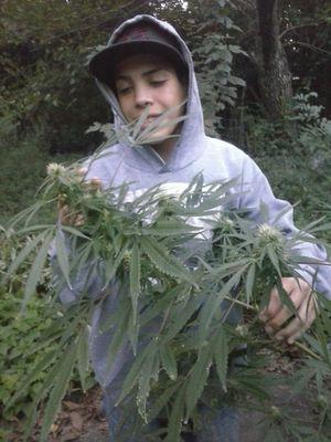 FrancoCsdmPapa's profile picture. 