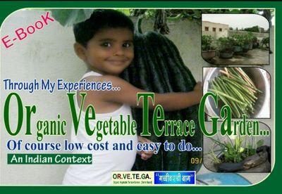 provide the cunsultacy for growing organic vegetable