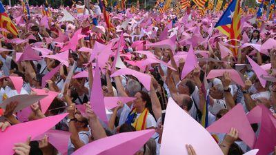 Twitter oficial de l'Assemblea Territorial de Vilamacolum.