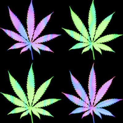 stoneddream420's profile picture. 