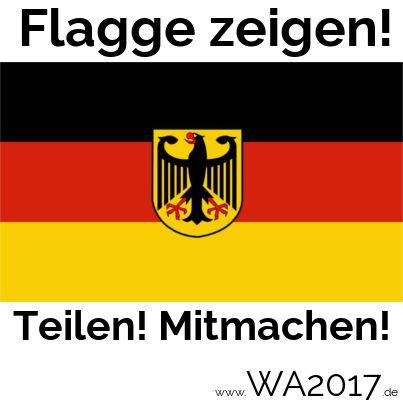 Stimme_der_Stim's profile picture. 